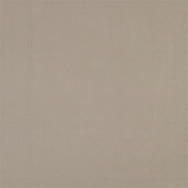 Lexicon Newberry Velvet Queen Platform Bed in Light brown