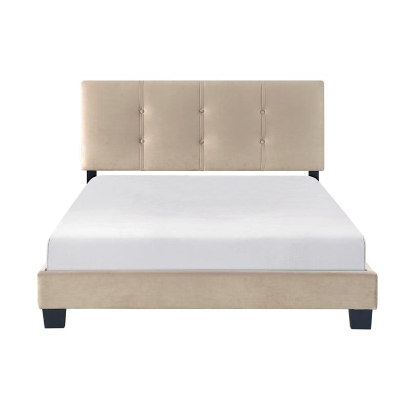 Lexicon Newberry Velvet Full Platform Bed in Light brown