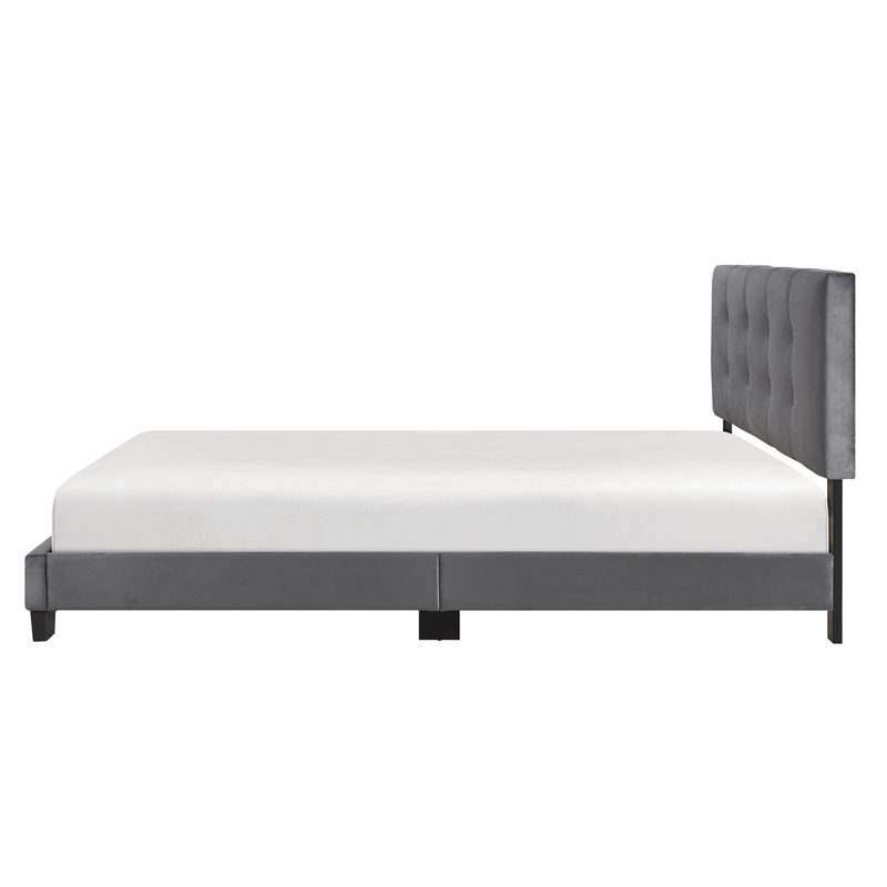 Lexicon Newberry Velvet Queen Platform Bed in Dark gray