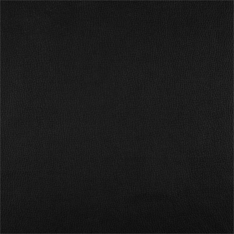 Lexicon Littleton Faux leather Double Reclining Love Seat in Black