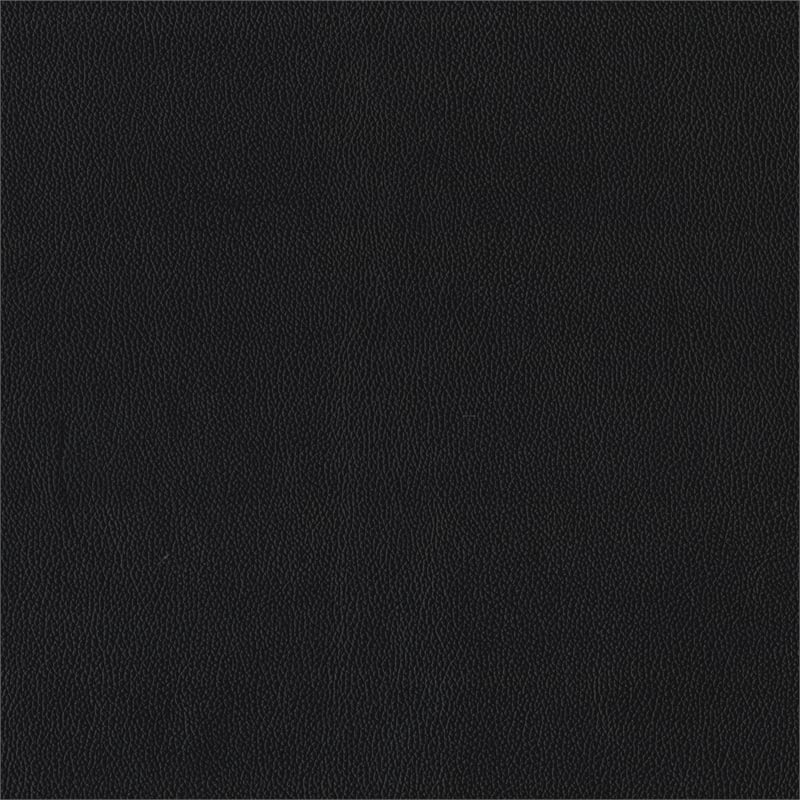 Lexicon Crafton Leather Accent Chair in Black