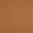 Lexicon Crafton Leather Accent Chair in Orange
