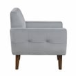 Lexicon Meadow Velvet Accent Chair in Gray