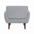 Lexicon Meadow Velvet Accent Chair in Gray