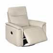 Lexicon Hadley Leather Swivel Glider Reclining Chair in Taupe