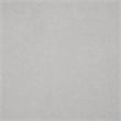 Lexicon Marais Boucle Dining Chairs - Set of 2 in Light Gray