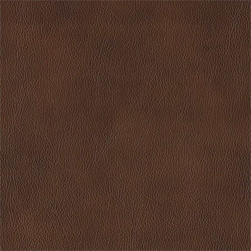 Lexicon Sutton Leather Power Double Reclining Sofa with Power Headrests in Brown