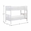 Lexicon Darden Pine Wood Twin/Twin Bunk Bed in White
