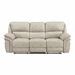 Lexicon Proctor Microfiber Double Reclining Sofa in Sand