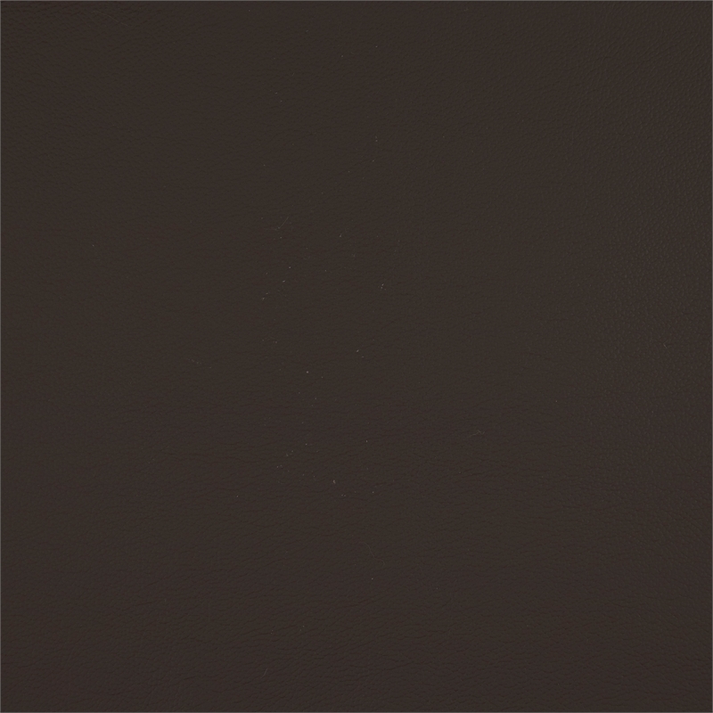 Lexicon Houghton Leather Accent Chair in Dark Brown