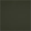 Lexicon Houghton Leather Accent Chair in Green