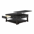 Lexicon Muriel Pine Lift Top Cocktail Table in Charcoal