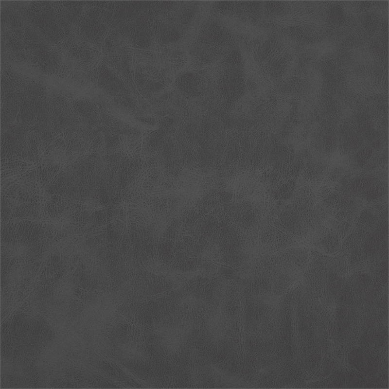 Lexicon Brixley Faux Leather Dining Side Chair in Gray (Set of 2)