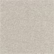 Lexicon Pompano Boucle Sectional with Right Chaise & Pull-out Bed in Beige