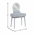 Lexicon Camilla Acacia Vanity Dresser with Mirror and Stool in Gray