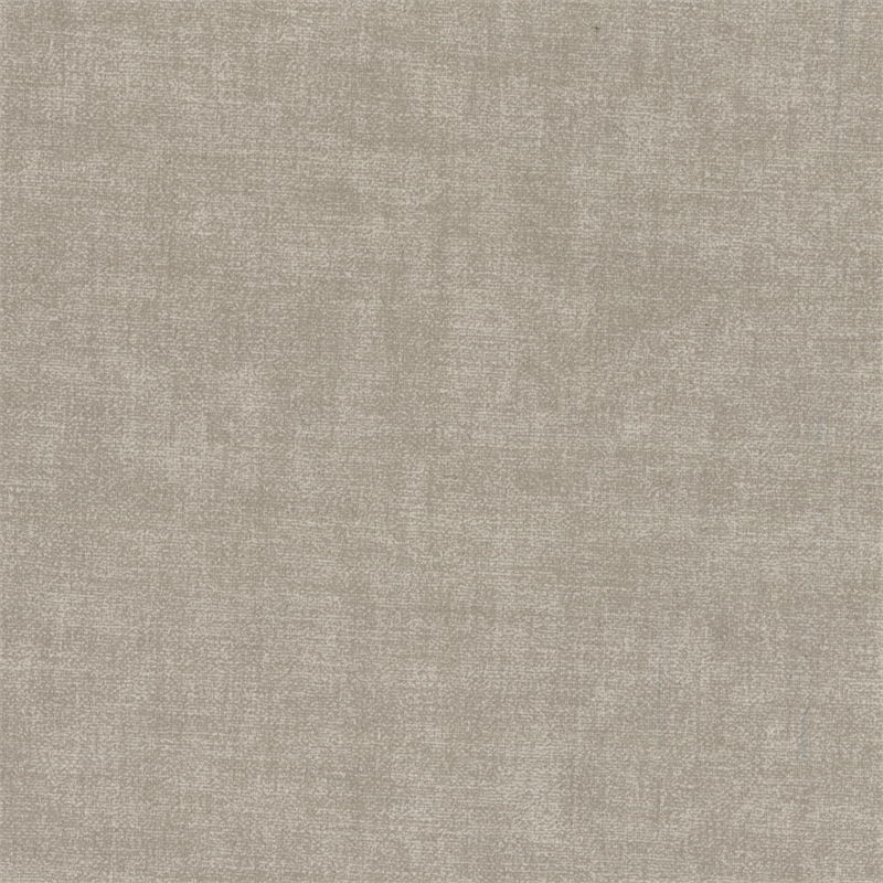 Lexicon Roslyn Velvet Accent Chair in Taupe