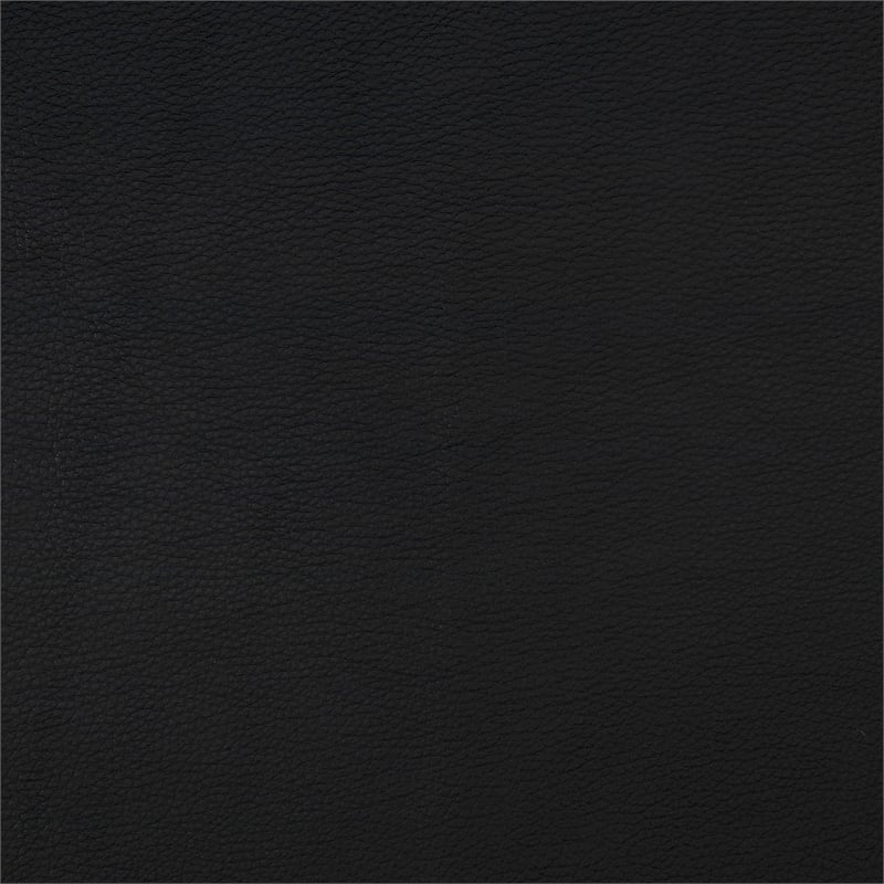 Lexicon Apex Leather Power Double Reclining Sofa with Power Headrests in Black