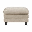 Lexicon Dublin Chenille Ottoman in Taupe