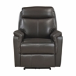 Lexicon Leif Leather Power Reclining Chair in Dark Brown