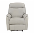 Lexicon Leif Leather Power Reclining Chair in Light Gray
