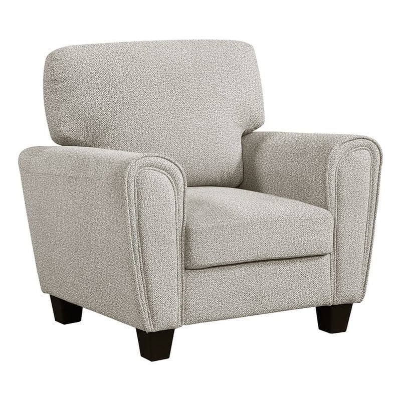 Lexicon Lemond Chenille Chair in Gray