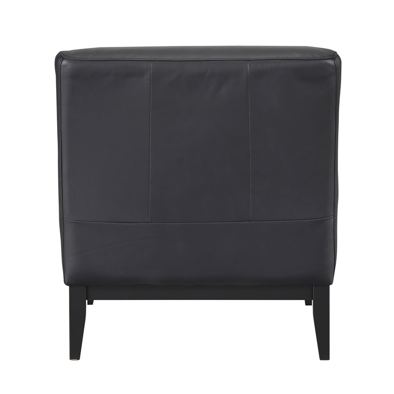 Lexicon Houghton Leather Accent Chair in Black