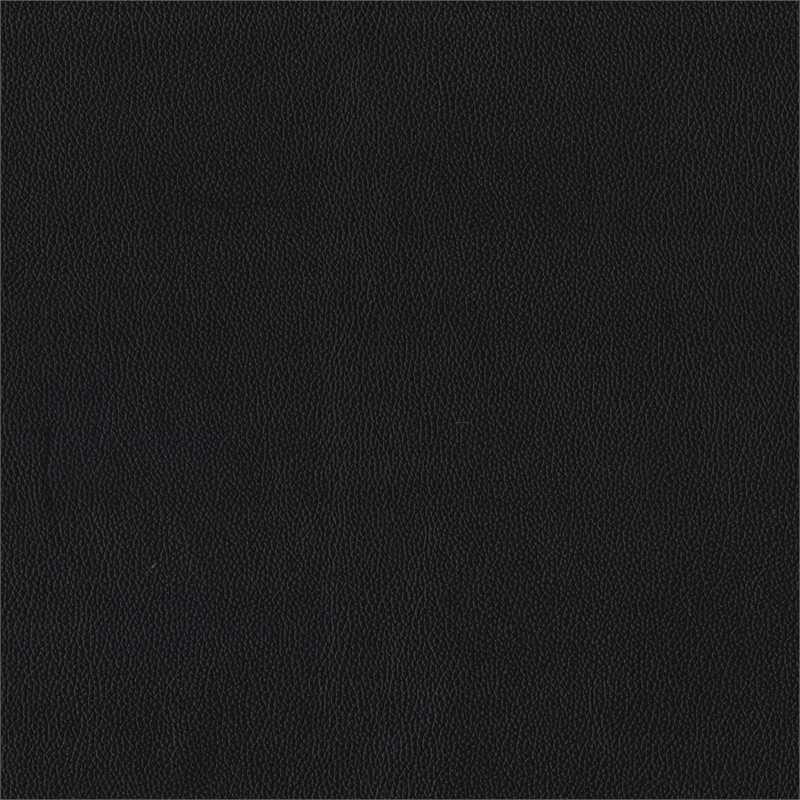 Lexicon Houghton Leather Accent Chair in Black