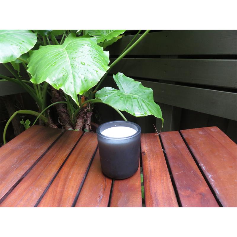 Orchid Dark Leather Luxury One Wick Candle Essential Oils in Smoky Gray Glass