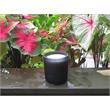 Orchid Dark Leather Luxury One Wick Candle Essential Oils in Smoky Gray Glass