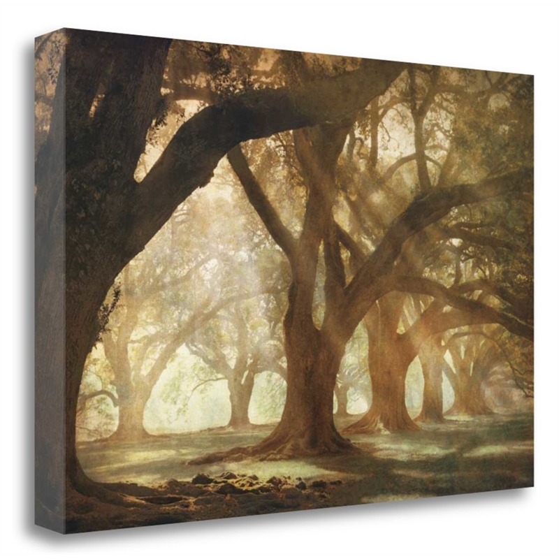 39x26 Oak Alley Morning Light by William Guion Print on CanvasFabric Multi-Color