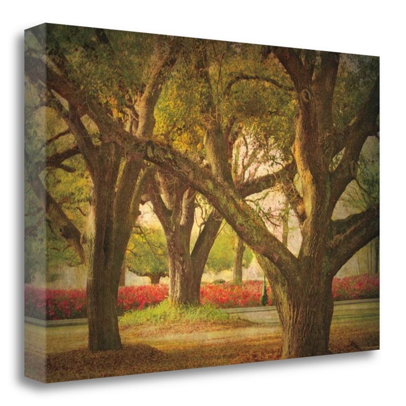 39x26 Three Oaks And Azaleas by William Guion Print on Canvas Fabric Multi-Color