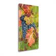 17x29 Summit Lake Zinfandel By Christopher Foster - on Canvas Fabric Multi-Color
