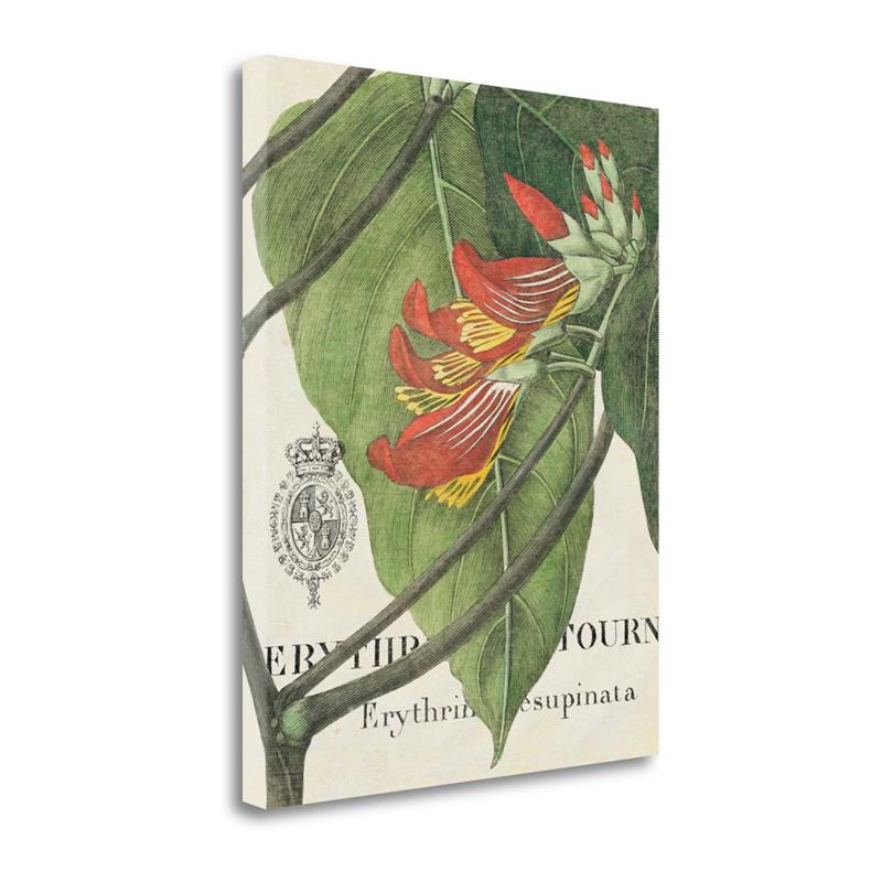 23x28 Botanique Tropicale I By Wild Apple Portfolio on Canvas Fabric Multi-Color