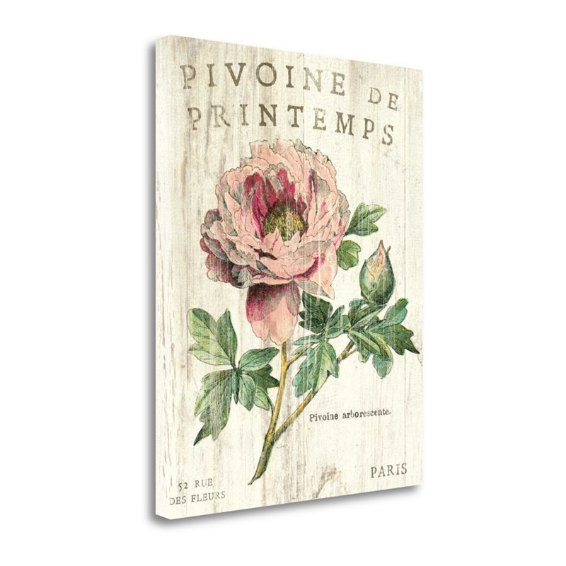 23 x 28 Pivoine De Printemps By Sue Schlabach Print on Canvas Fabric Multi-Color
