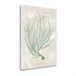 Gorgonia Miniacea On Linen Sea Foam By Wild Apple - on Canvas Fabric Multi-Color