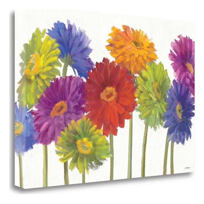 29x20 Colorful Gerbera Daisies by Carol Rowan Print on Canvas Fabric Multi-Color