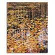 24 x 30 Autumn Detail by John Gavrilis - Wall Art Print on Canvas Fabric Yellow