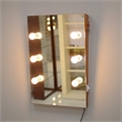 CRO Decor Wall Mounted Mirror With Light