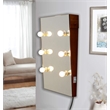 CRO Decor Wall Mounted Mirror With Light