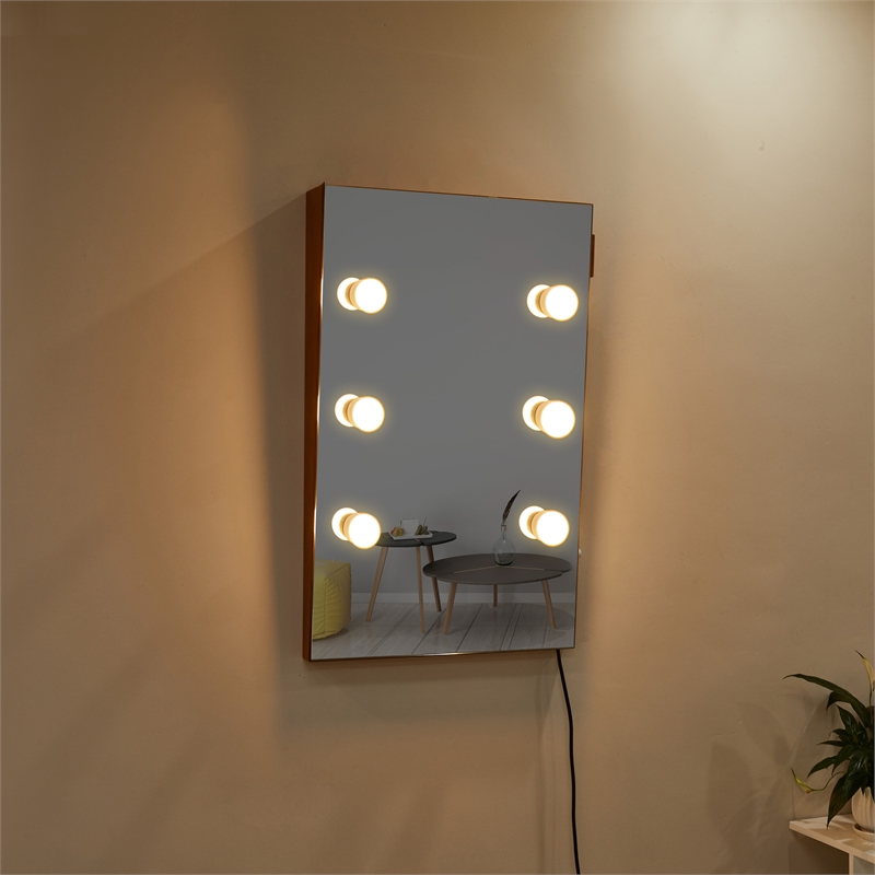 CRO Decor Wall Mounted Mirror With Light