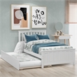 CRO Decor Wood Twin size Platform Bed with Trundle (White)