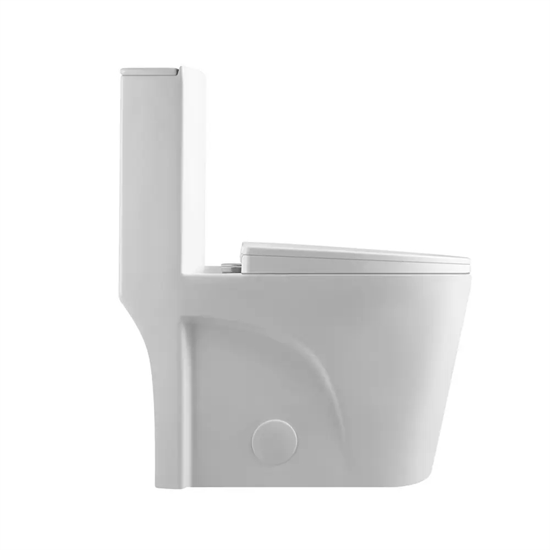 CRO Decor  One Piece Extended Dual Flush Freestanding Toilet White