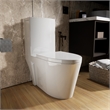CRO Decor  One Piece Extended Dual Flush Freestanding Toilet White