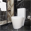 CRO Decor  One Piece Extended Dual Flush Freestanding Toilet White