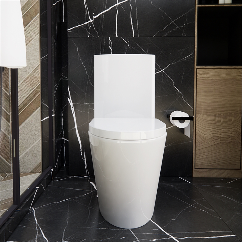 CRO Decor  One Piece Extended Dual Flush Freestanding Toilet White