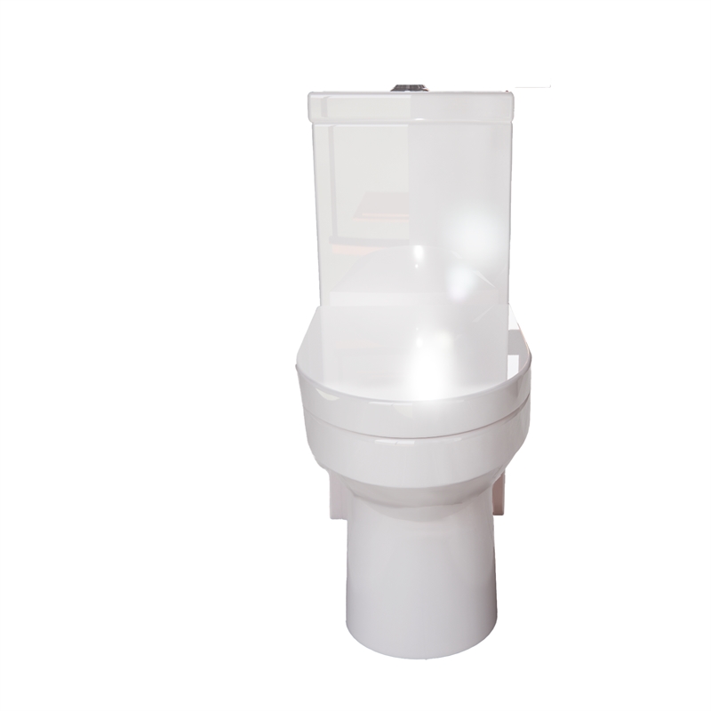 CRO Decor  One-Piece Dual Flush Free-Standing Toilet White