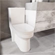 CRO Decor  One-Piece Dual Flush Free-Standing Toilet White