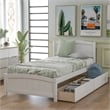 CRO Decor Wood Twin Size Platform Bed with Two Drawers (White)