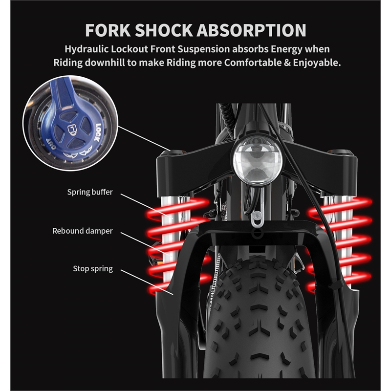 750W Electric Bike Fat Tire Removable Lithium Battery for Adults with Fender