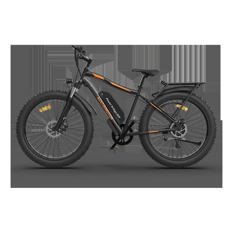 750W Electric Bike Fat Tire Removable Lithium Battery for Adults with Fender